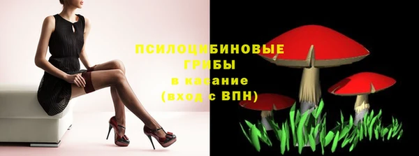 гидропоника Алзамай
